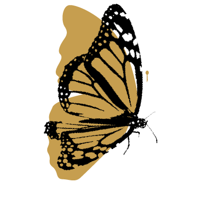 Logo for Angel Beauty Haus in Dana Point, CA